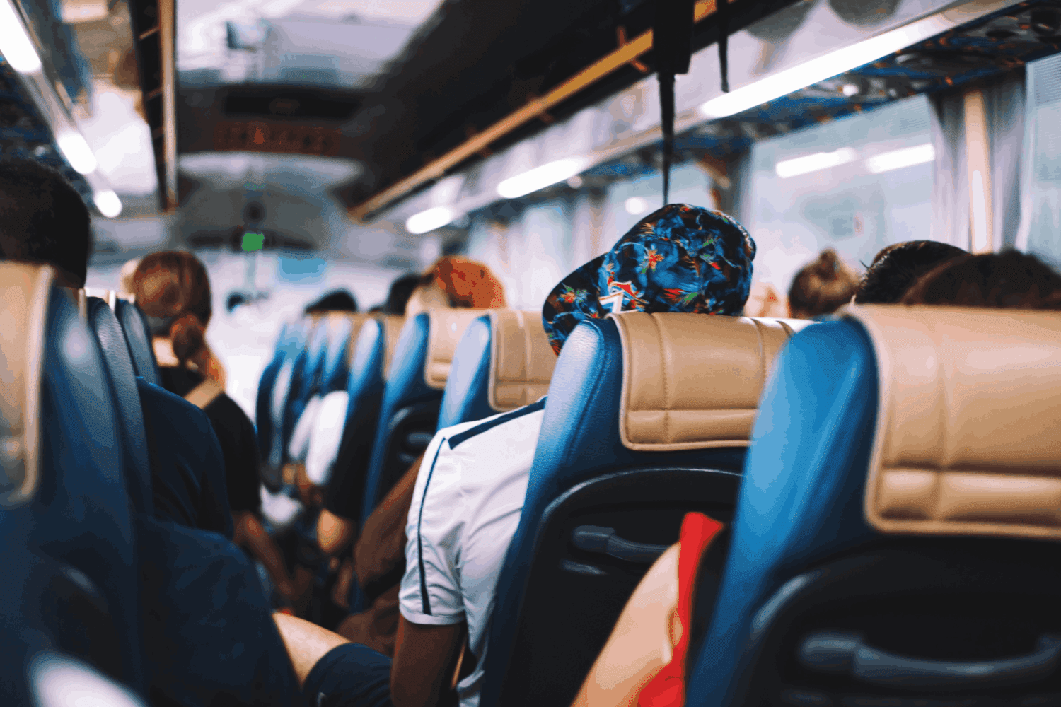 Cape Town Tour Bus Passengers