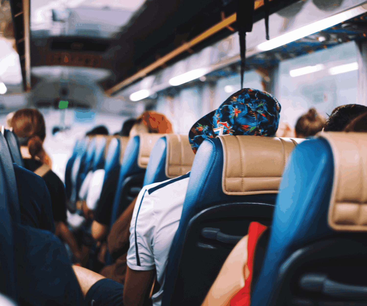 Cape Town Tour Bus Passengers